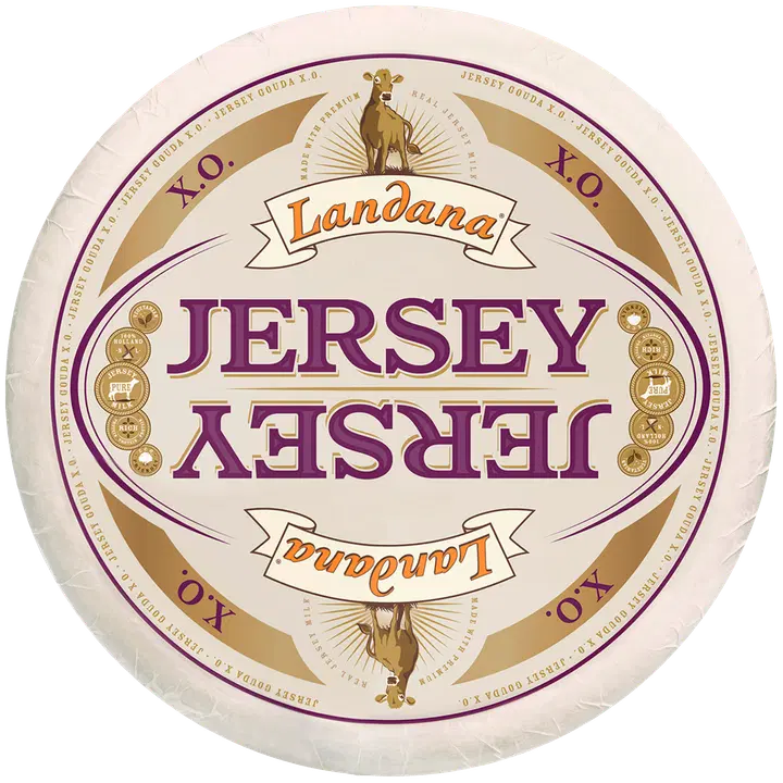 Landana Jersey XO Gouda