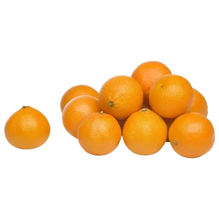 Klementiin I klass Coop