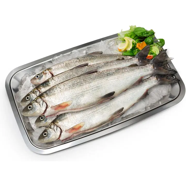 Siika 2 villi Kalamesta