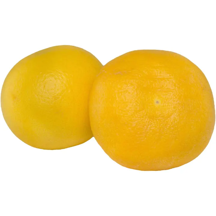 Jaffa greippi White Marsh