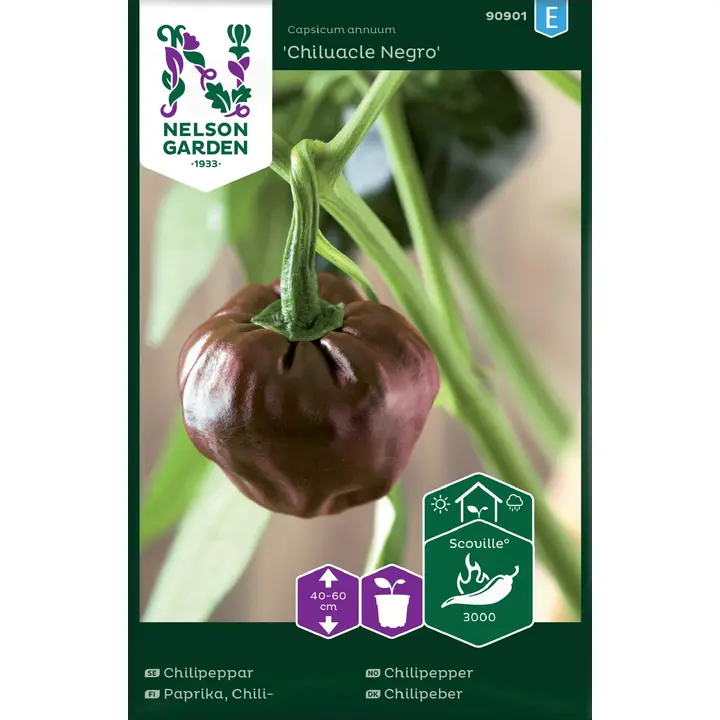 90901 chilipaprika chiluacle negro