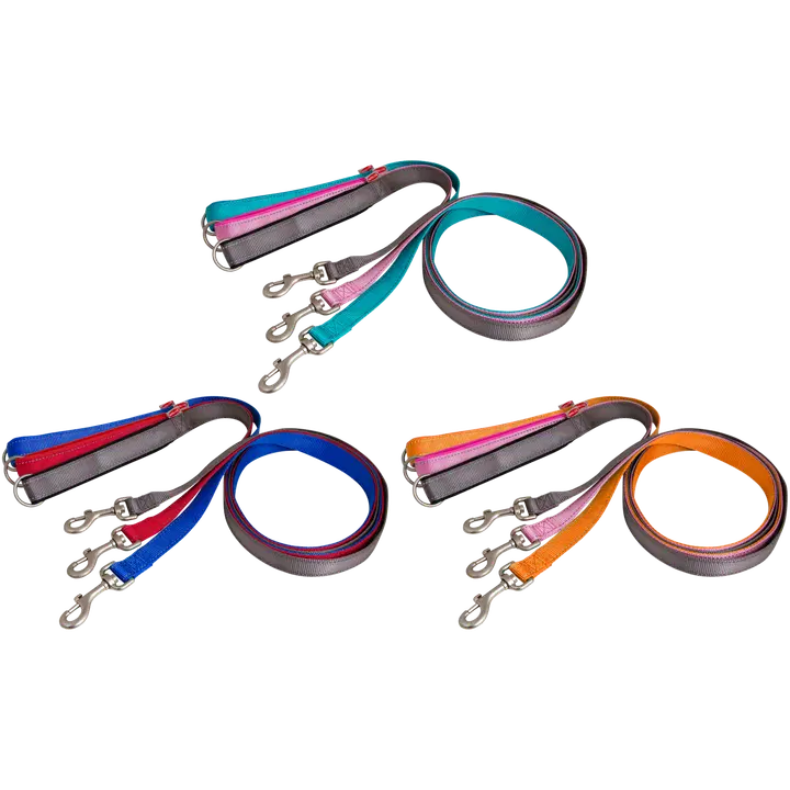 Best Friend #Pawsome Barker koiran talutin M/L, 25*1800 mm, lajitelma