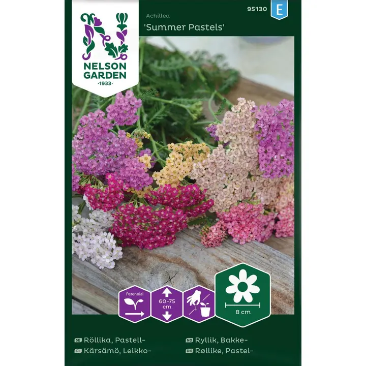 95130 achillea summer pastels