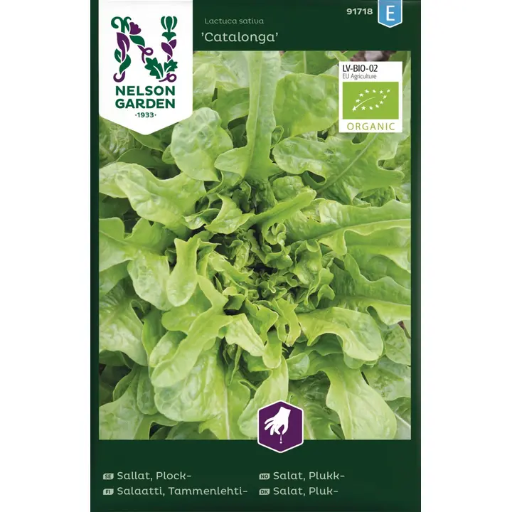 91718 salat catalonga, organ