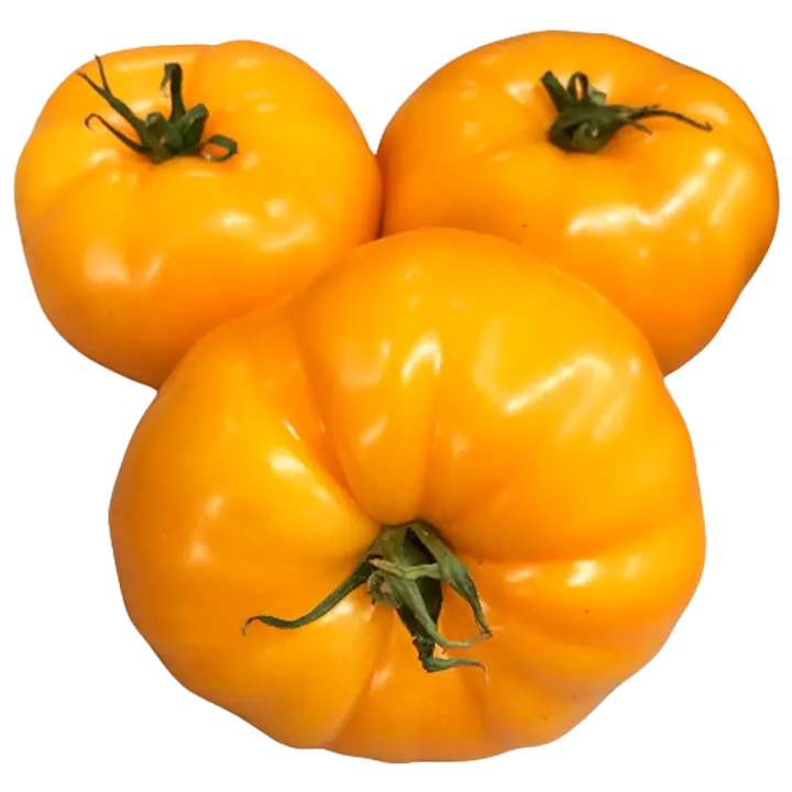 Tomat kollane Weiss Aiand I klass