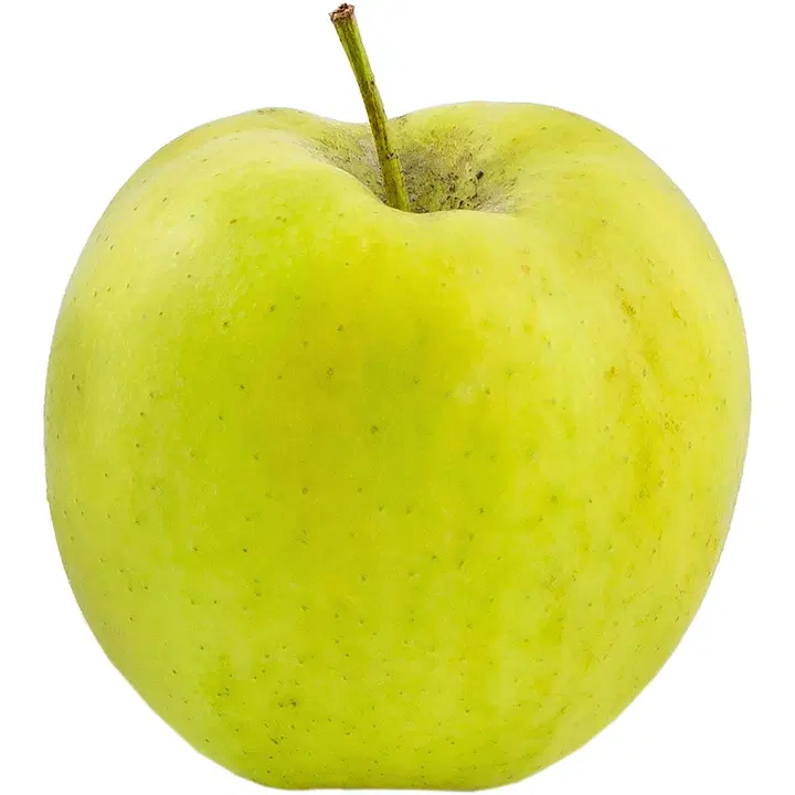 Fresh Servant omena golden mozart 75-80