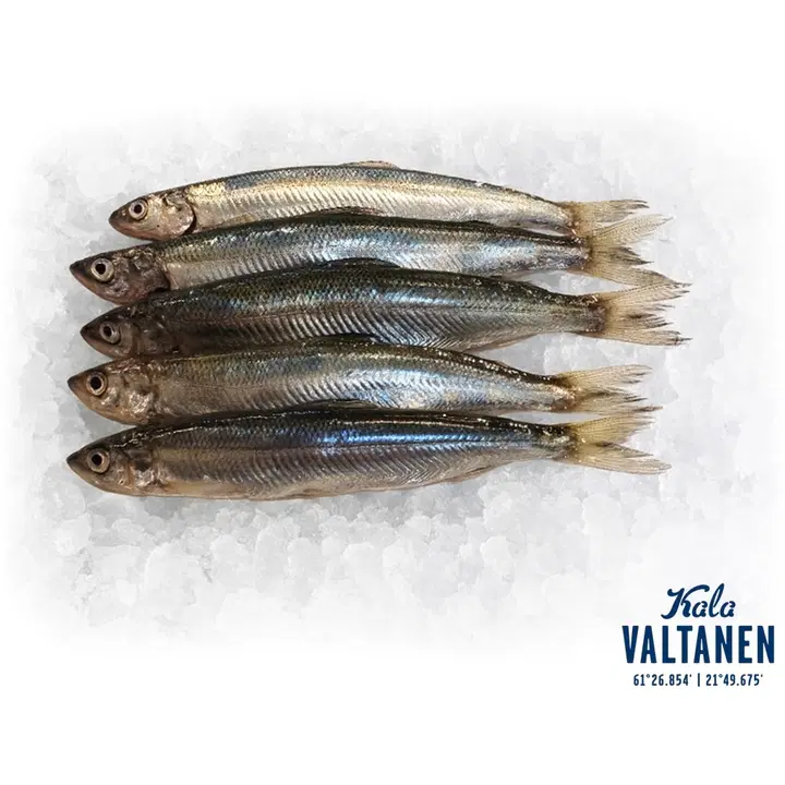 KalaValtanen muikku perattu