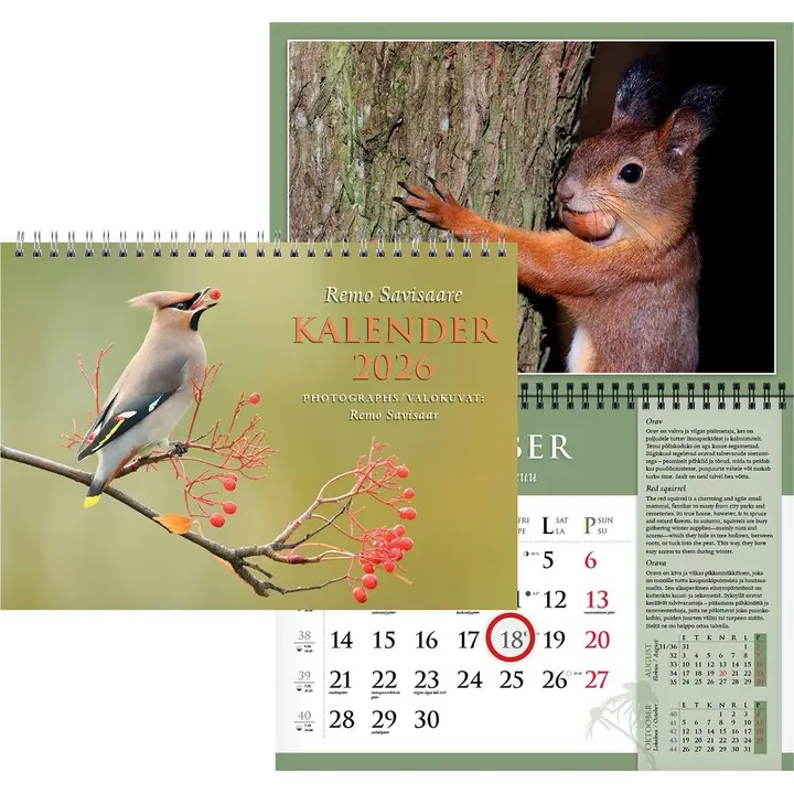 Remo savisaare autorikalender ( linnud,