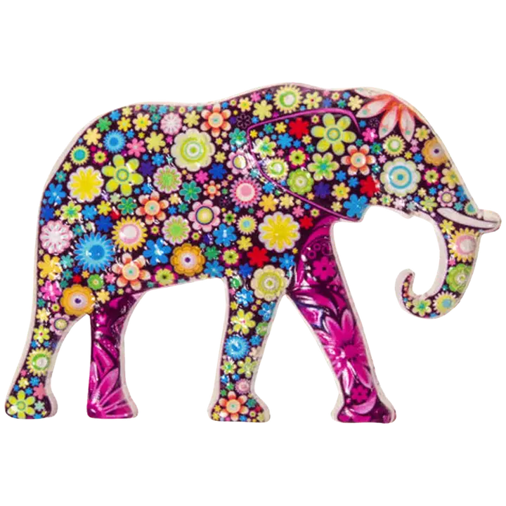 Magnet elevand 9x6 cm