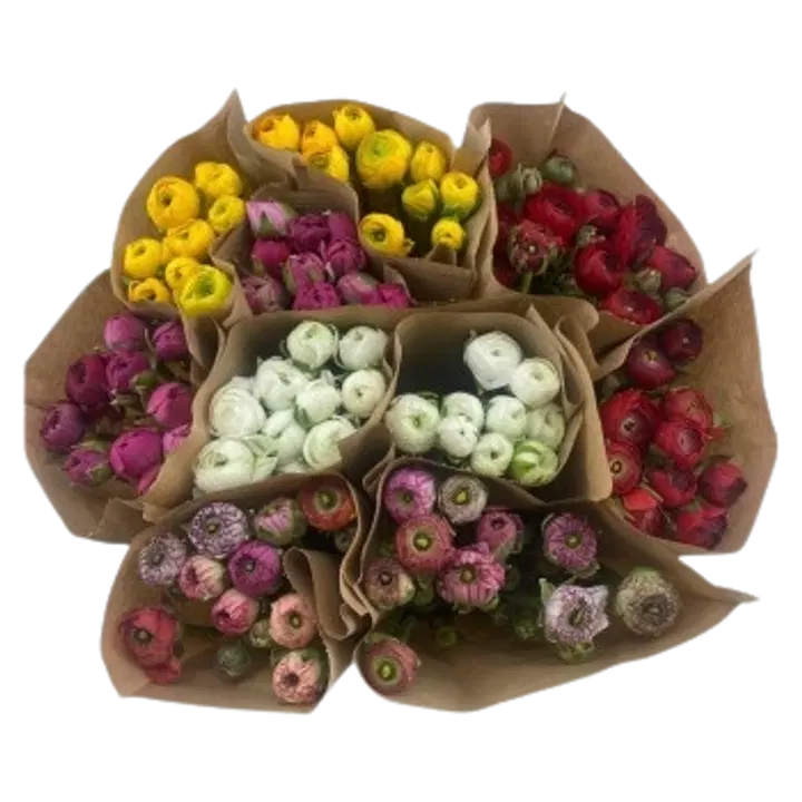 Jaloleinikkikimppu, lajitelma, monivärikimppu, 10 oksaa, 40cm