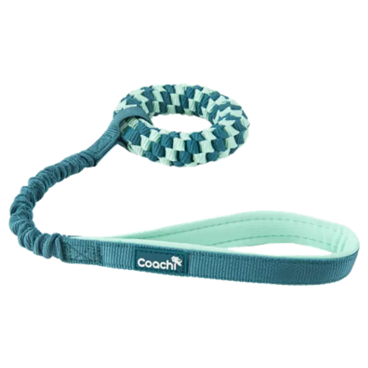 Coachi Puppy & Mini Tuggi Helix Teal & Mint