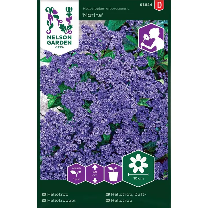 93644 heliotropium arborescens marine