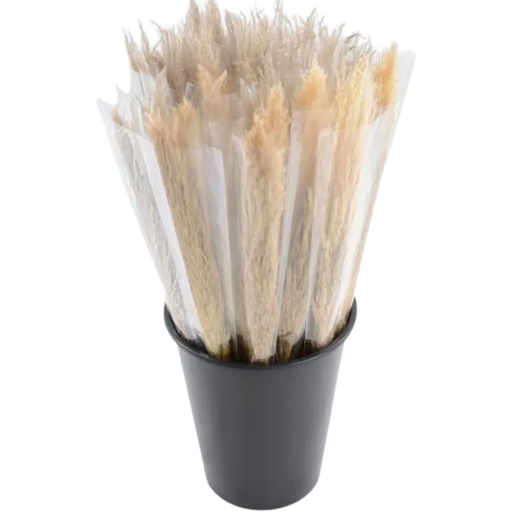 Pampaheinä, 3 kortta, 70cm