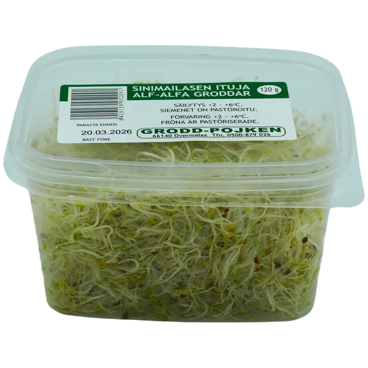 Fresh Alfa-alfa 120g FI