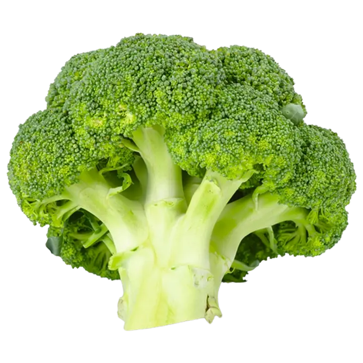 Brokoli