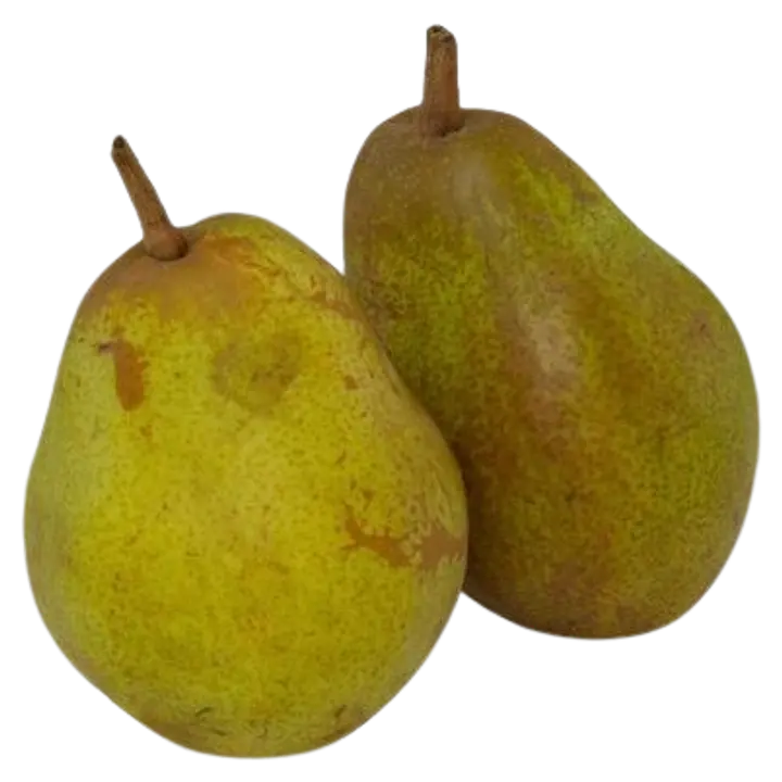 Pirn  Sweet Sensation I klass