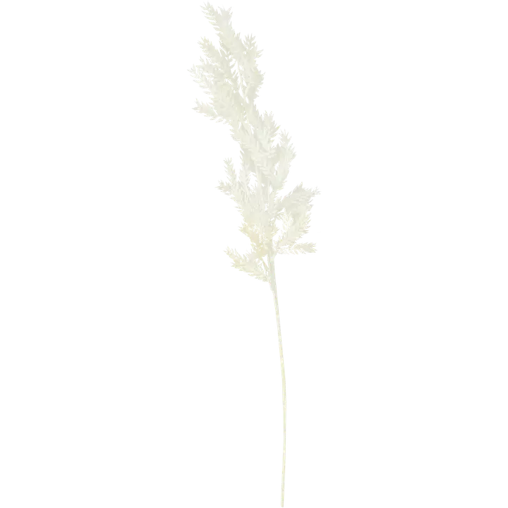 KUNST-OKS BEAN X5 76 CM