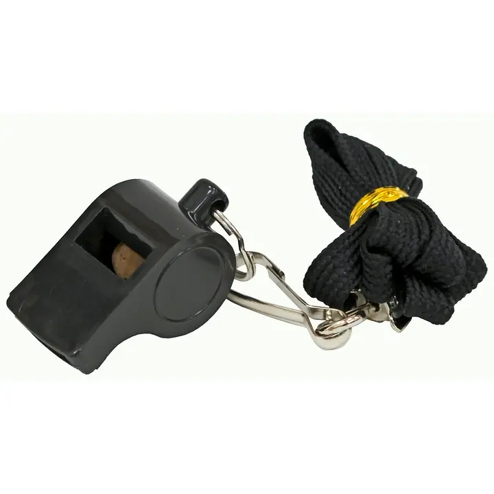 Kohtuniku vile, plast