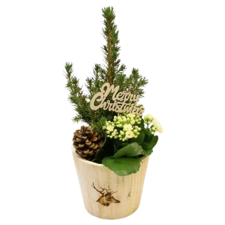 Istutus Metsänhenki, puisessa koristeruukussa tulilatva, havupuu ja koristetikku, diam 15cm