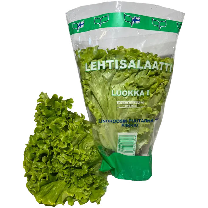 Lindroosin Puutarha lehtiruukkusalaatti 115 g