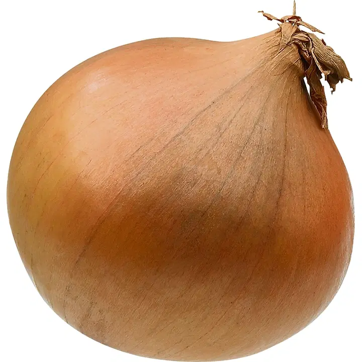 Majurin Tilan sipuli