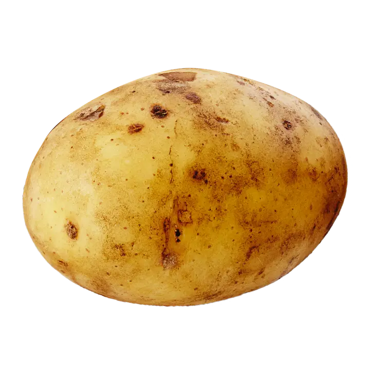 Yleisperuna pesty Vanonen