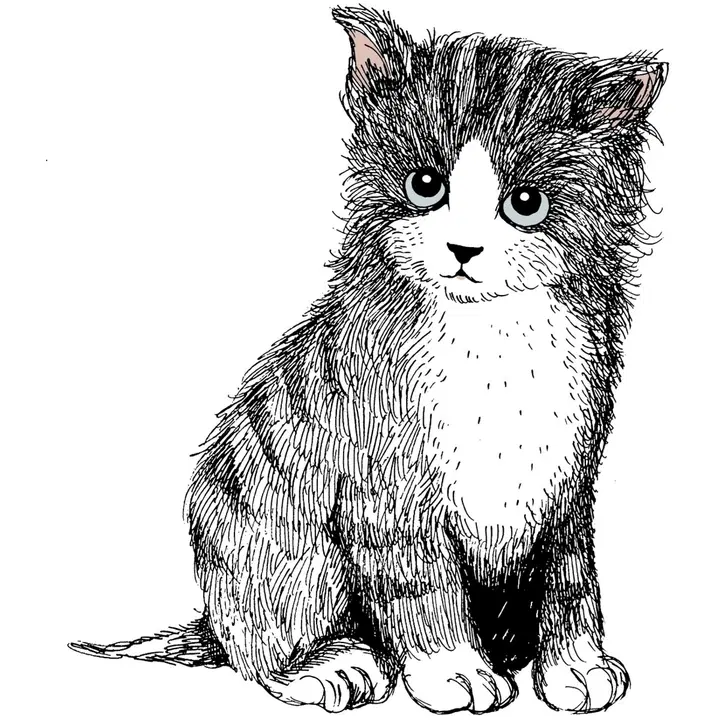 Vallila C Kitties Pentu heijastin