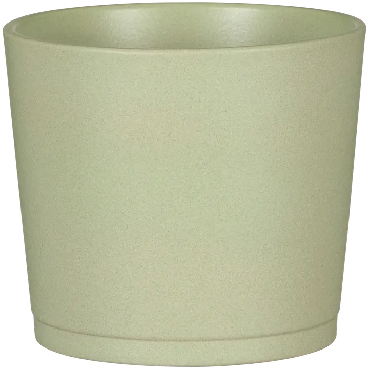 Lillepott 883/12 heleroheline