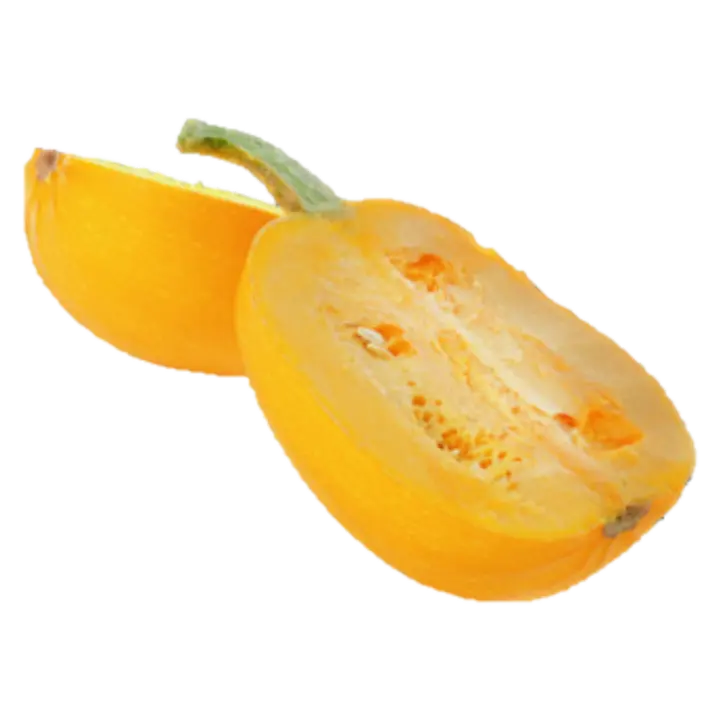 Spagetikõrvits