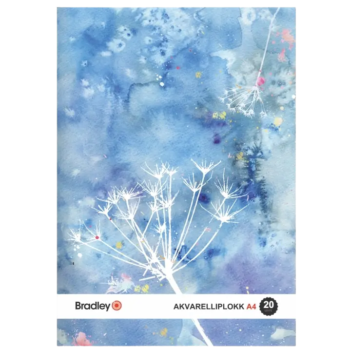 Joonistusplokk bradley a4/20l 210g akvar