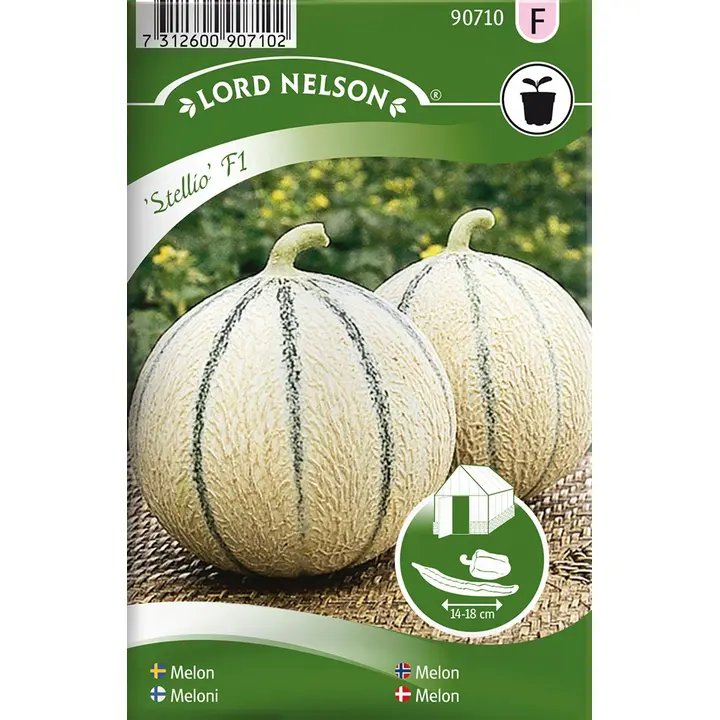 90710 melon stellio f1