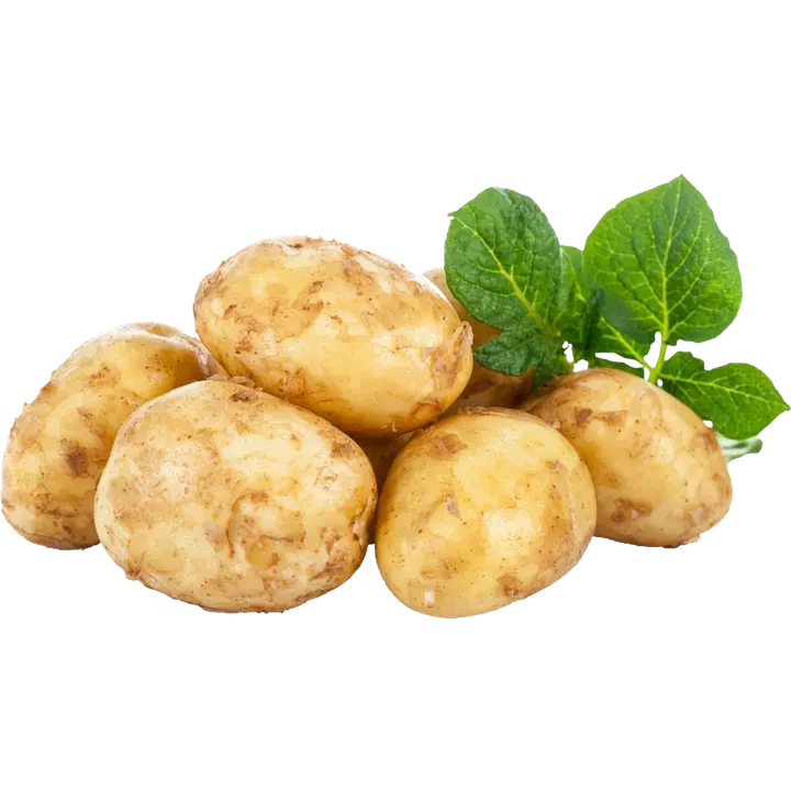 Kesäperuna