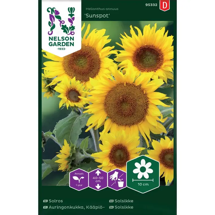 95332 päevalill sunspot