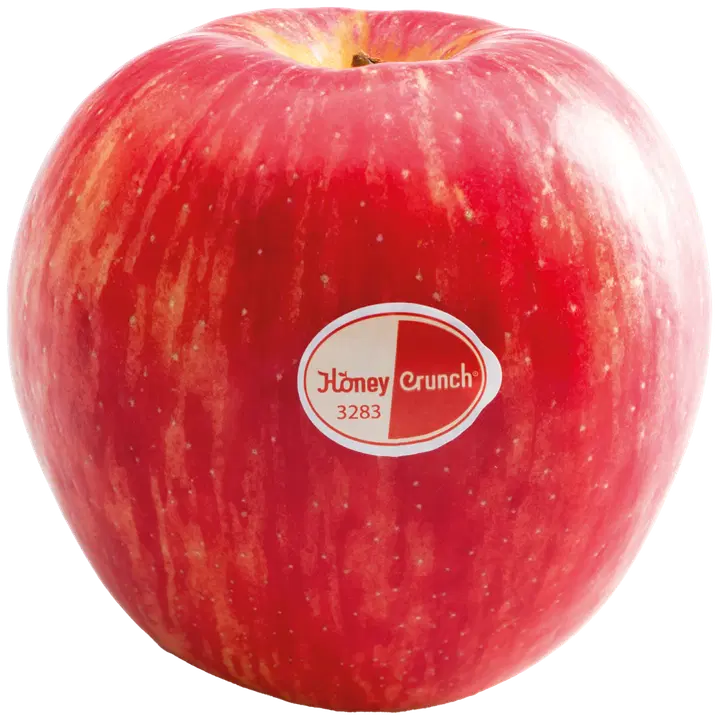 Omena Honey Crunch