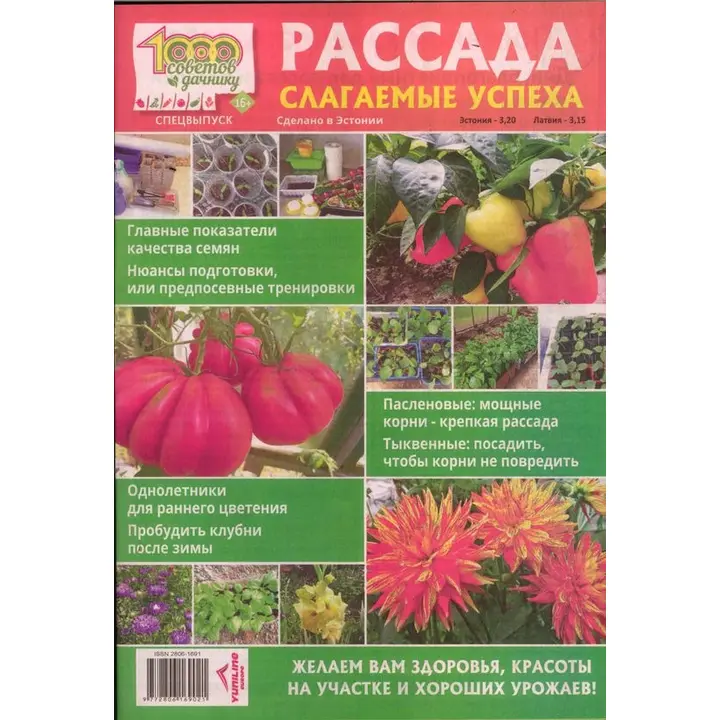 Rassada. Slagaemõje uspeha