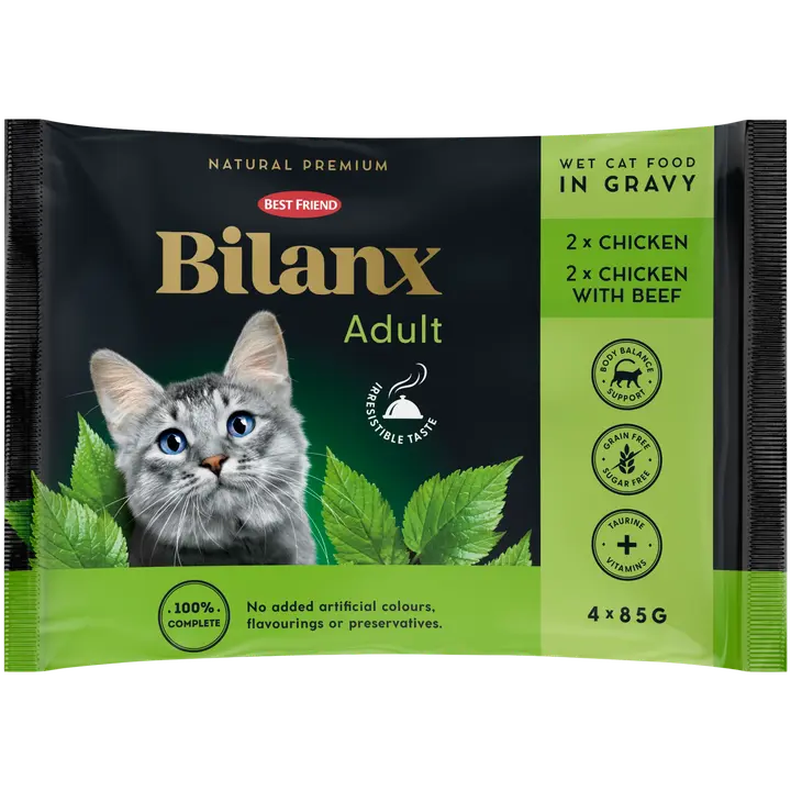 Best Friend Bilanx Adult lajitelma kastikkeessa 4x85 g