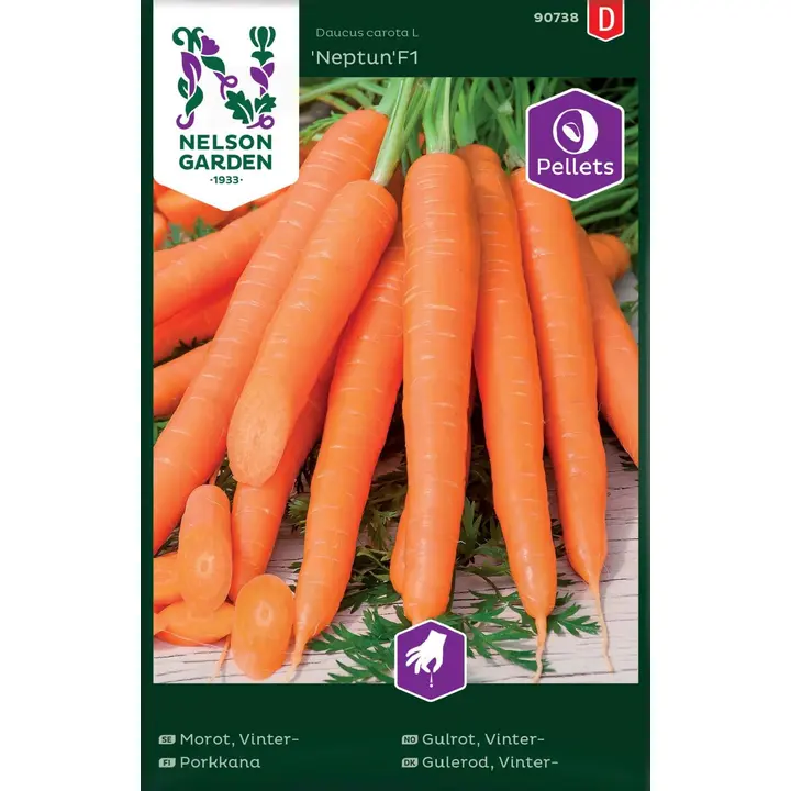 90738 porgand neptun f1