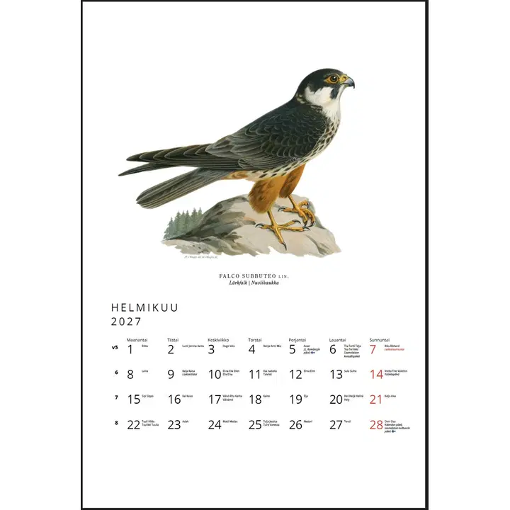 Väggkalender ART COLLECTION Fåglar 2027 23x34