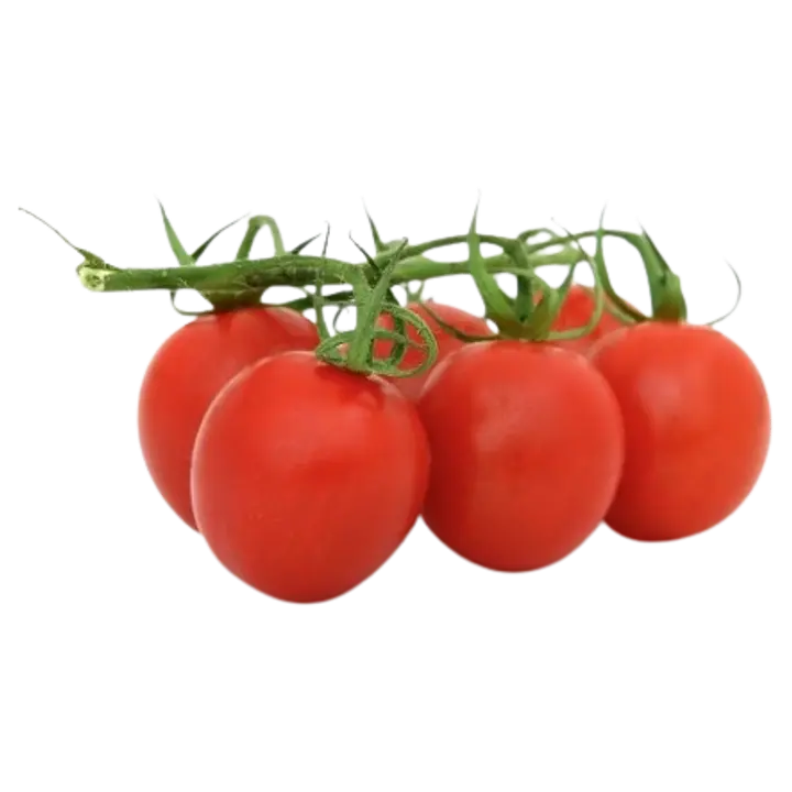 Kirsskobartomat I klass