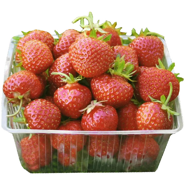 Wennborgin Tila Mansikka 500 g