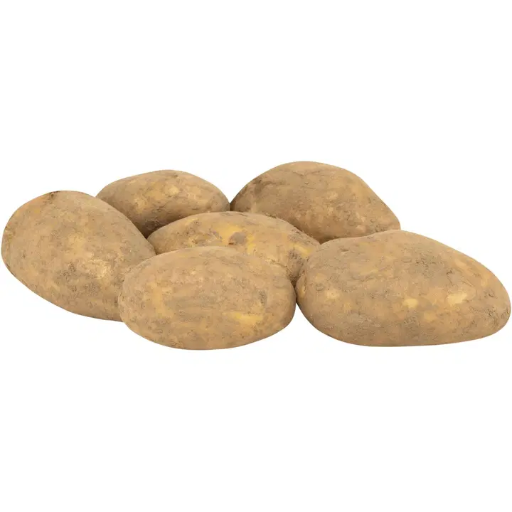 PERUNA MULTA HÄNNINEN