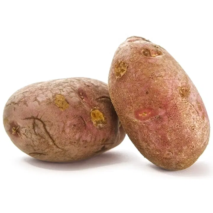 Rosamunda peruna