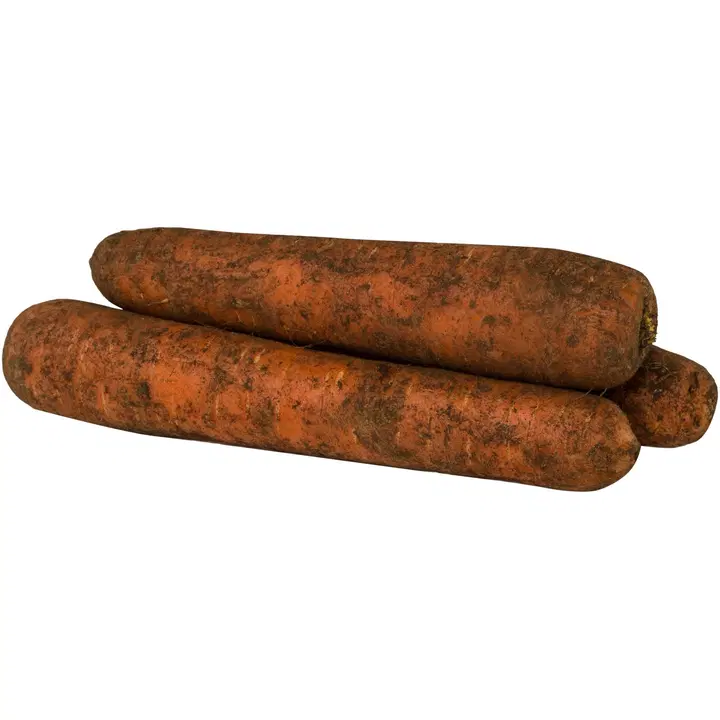 Multa porkkana