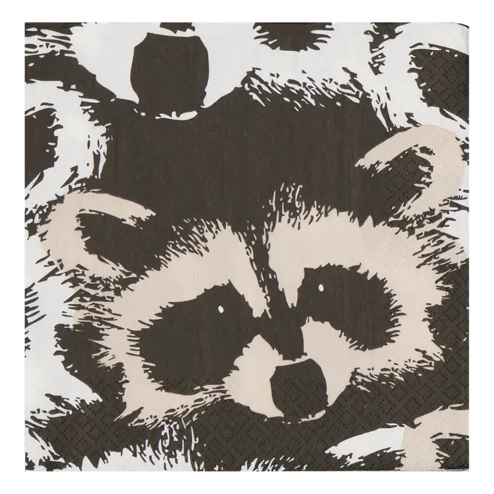 Finlayson salvrätik pesukaru 33cm 20tk