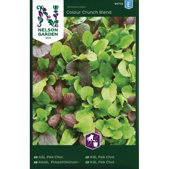 91713 hiina kapsas pak choi