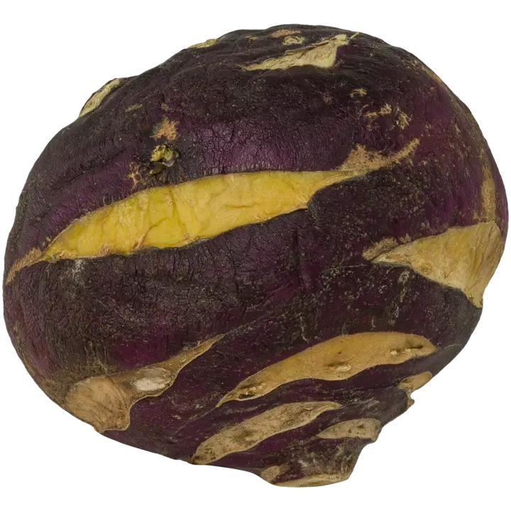 KYSSÄKAALI