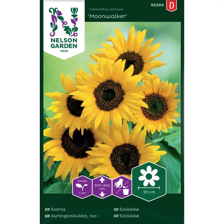 95284 päevalill moonwalker