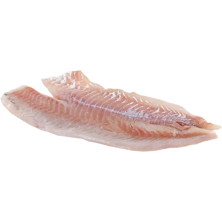 JOHAN I HALLEN&BERGFALK Seitifile MSC