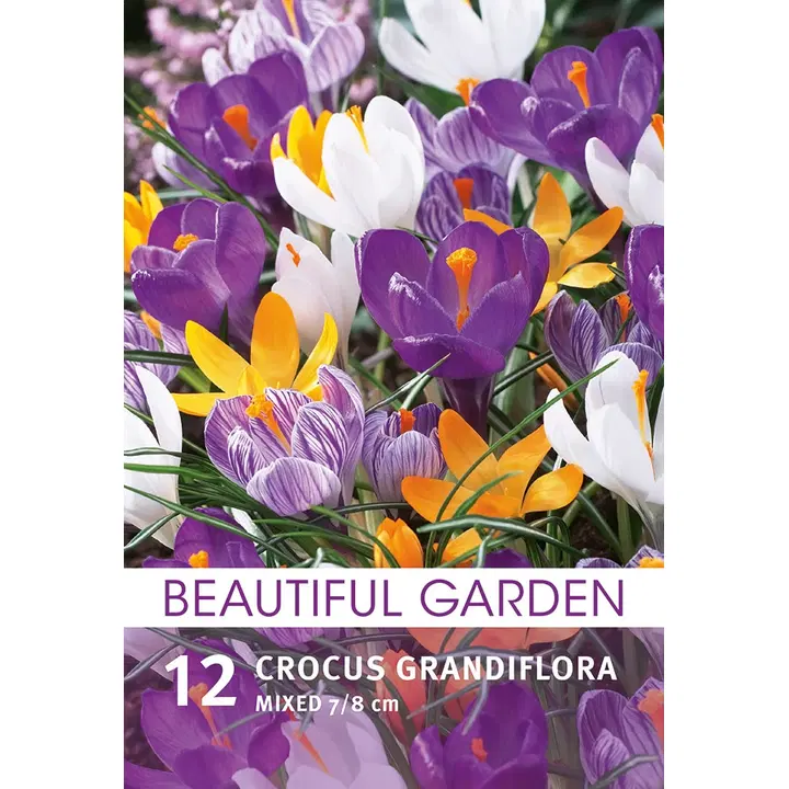 Kevätsahramisekoite 12kpl