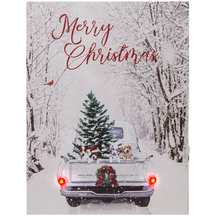 Maal  led 25008 30x40 cm